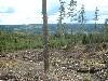 2003_0517_14 K1 4.jpg